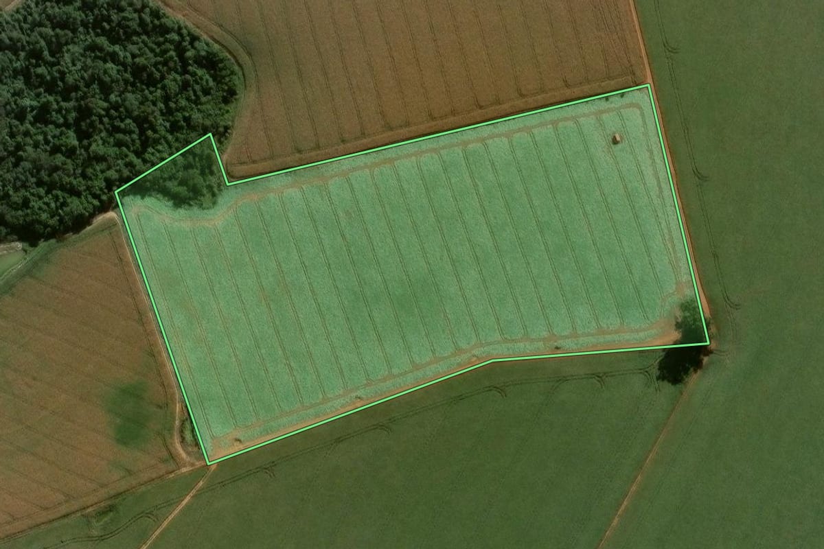 Imagem de satélite do imóvel rural em Itapeva (SP), com o contorno declarado no CAR desenhado por cima.