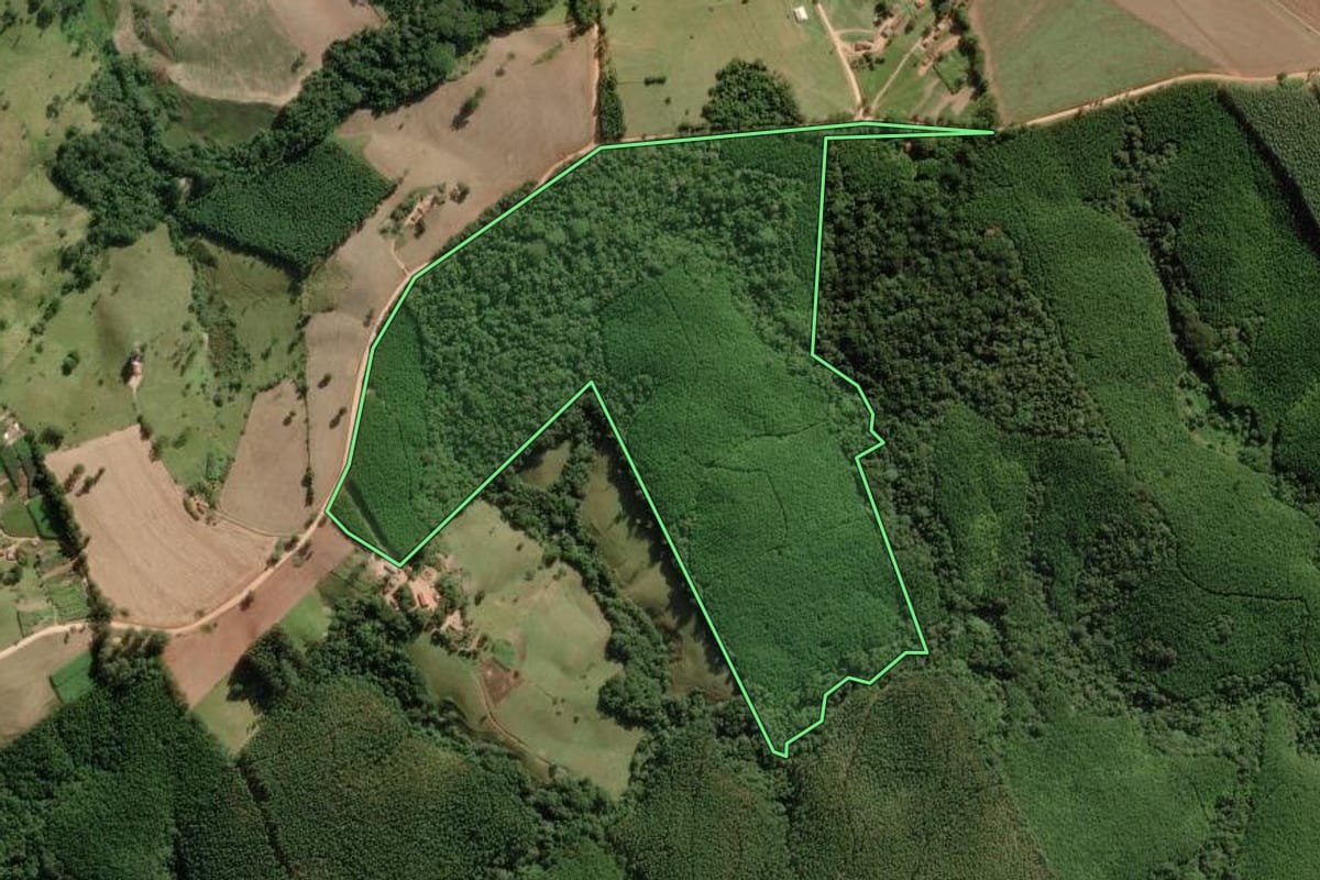 Imagem de satélite do imóvel rural em Itapeva (SP), com o contorno declarado no CAR desenhado por cima.