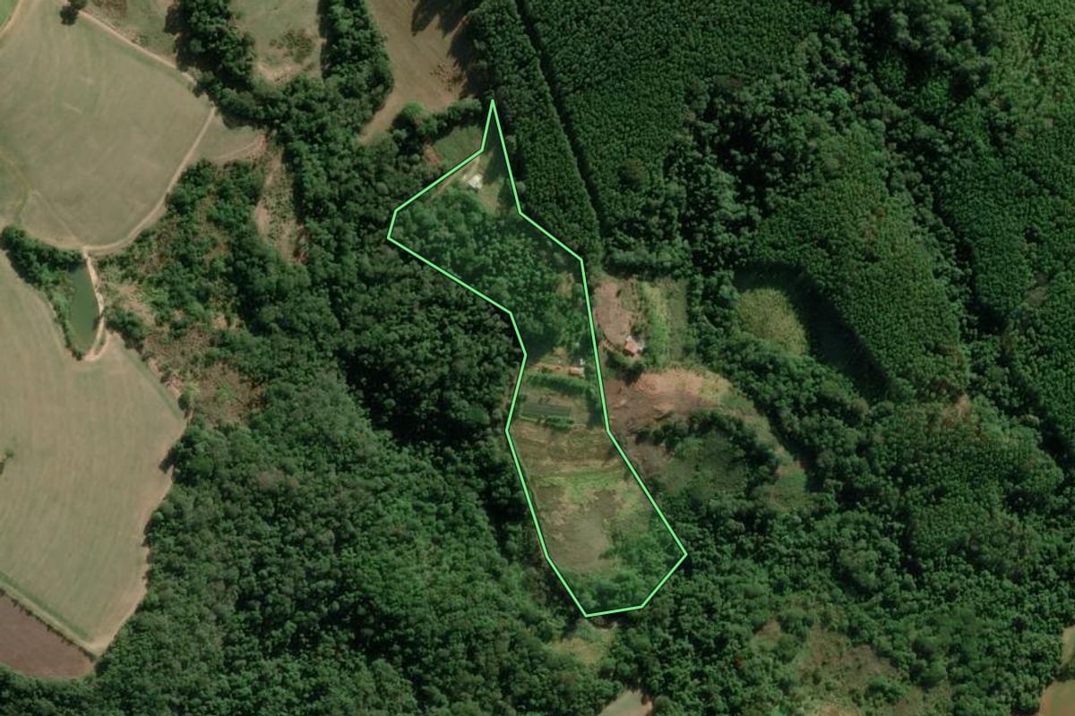 Imagem de satélite do imóvel rural em Itapeva (SP), com o contorno declarado no CAR desenhado por cima.
