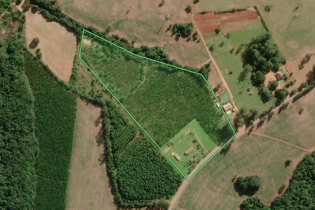 Imagem de satélite do imóvel rural em Itapeva (SP), com o contorno declarado no CAR desenhado por cima.