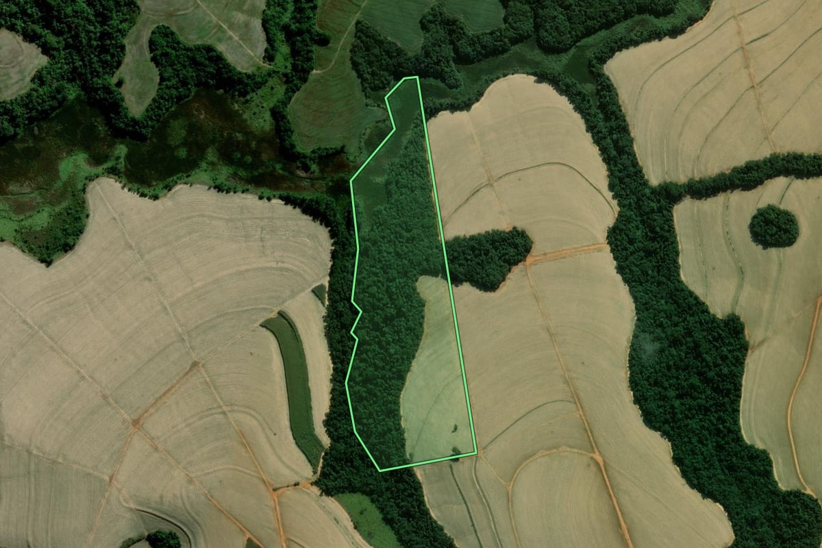 Imagem de satélite do imóvel rural em Itapeva (SP), com o contorno declarado no CAR desenhado por cima.