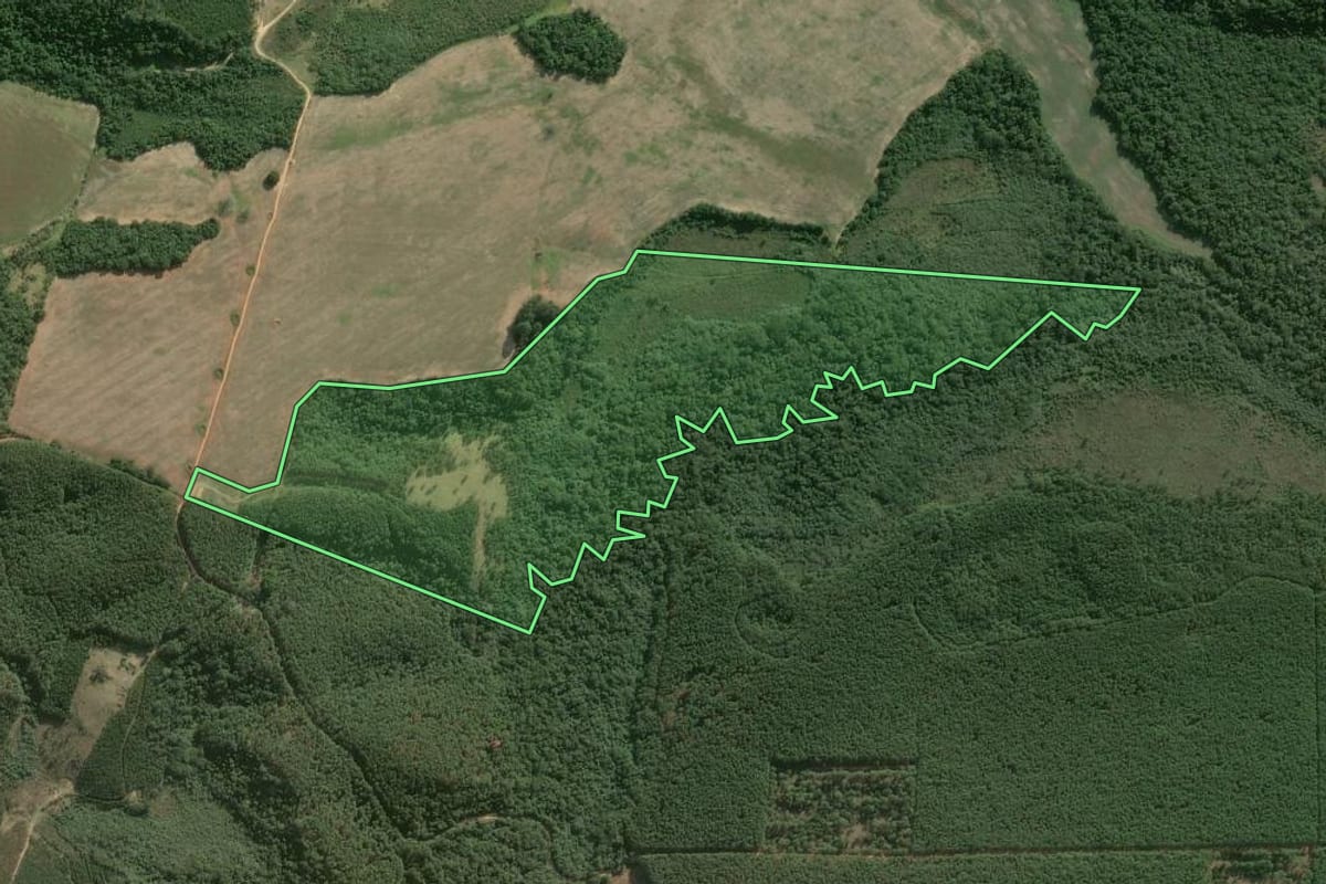 Imagem de satélite do imóvel rural em Itapeva (SP), com o contorno declarado no CAR desenhado por cima.