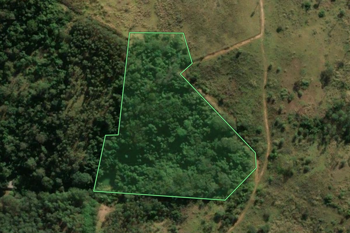 Imagem de satélite do imóvel rural em Itapira (SP), com o contorno declarado no CAR desenhado por cima.