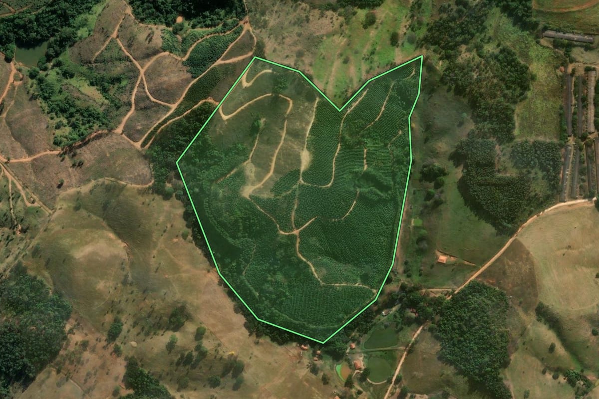 Imagem de satélite do imóvel rural em Itapira (SP), com o contorno declarado no CAR desenhado por cima.