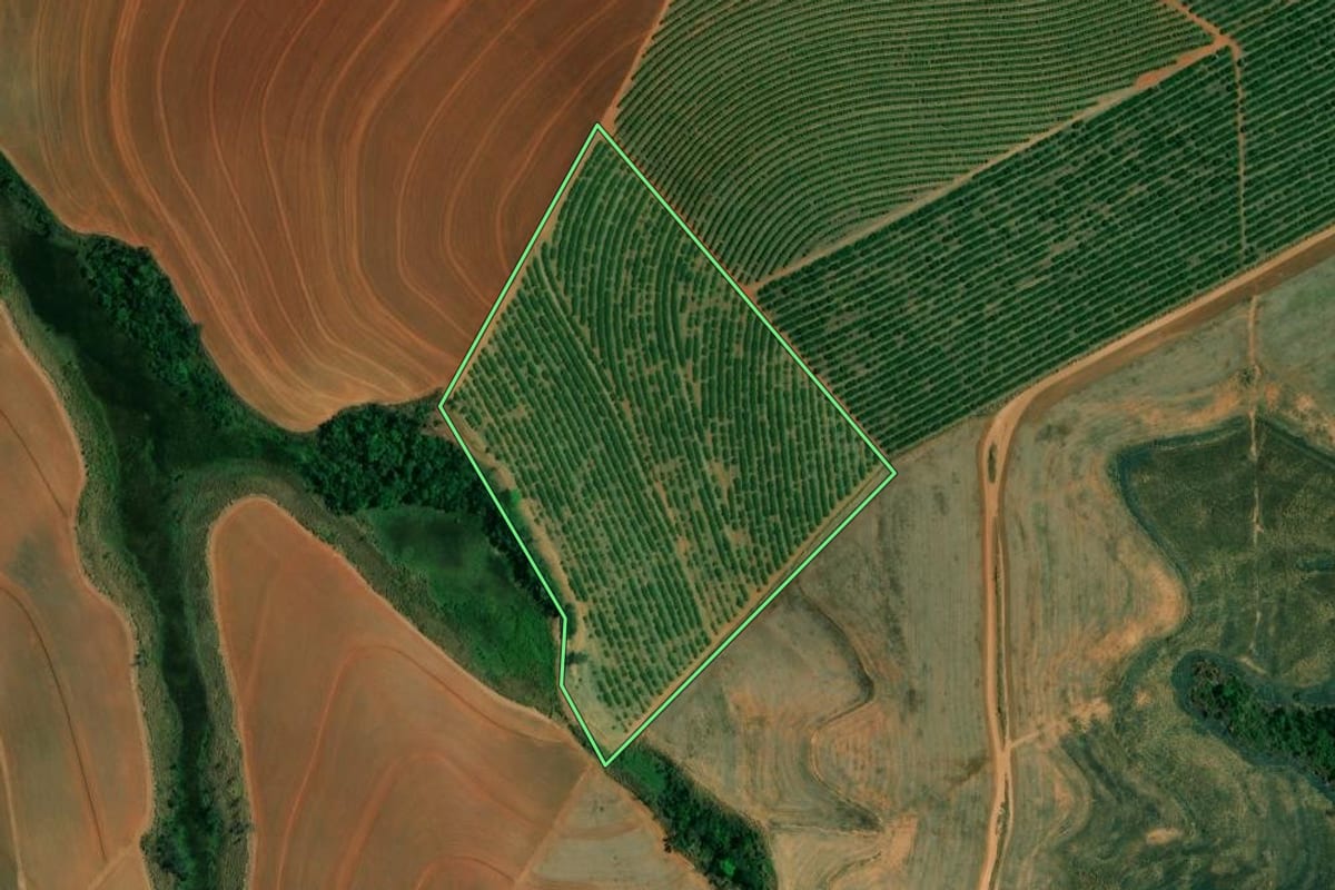 Imagem de satélite do imóvel rural em Itapira (SP), com o contorno declarado no CAR desenhado por cima.