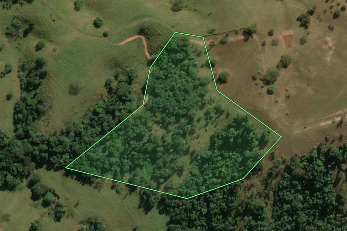 Imagem de satélite do imóvel rural em Itapira (SP), com o contorno declarado no CAR desenhado por cima.