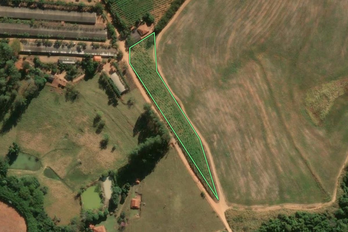 Imagem de satélite do imóvel rural em Itapira (SP), com o contorno declarado no CAR desenhado por cima.