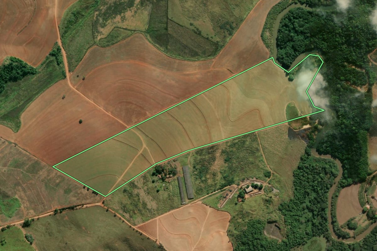 Imagem de satélite do imóvel rural em Itapira (SP), com o contorno declarado no CAR desenhado por cima.