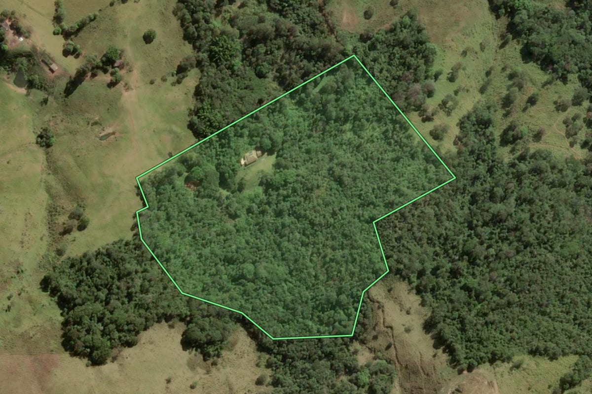 Imagem de satélite do imóvel rural em Itapira (SP), com o contorno declarado no CAR desenhado por cima.