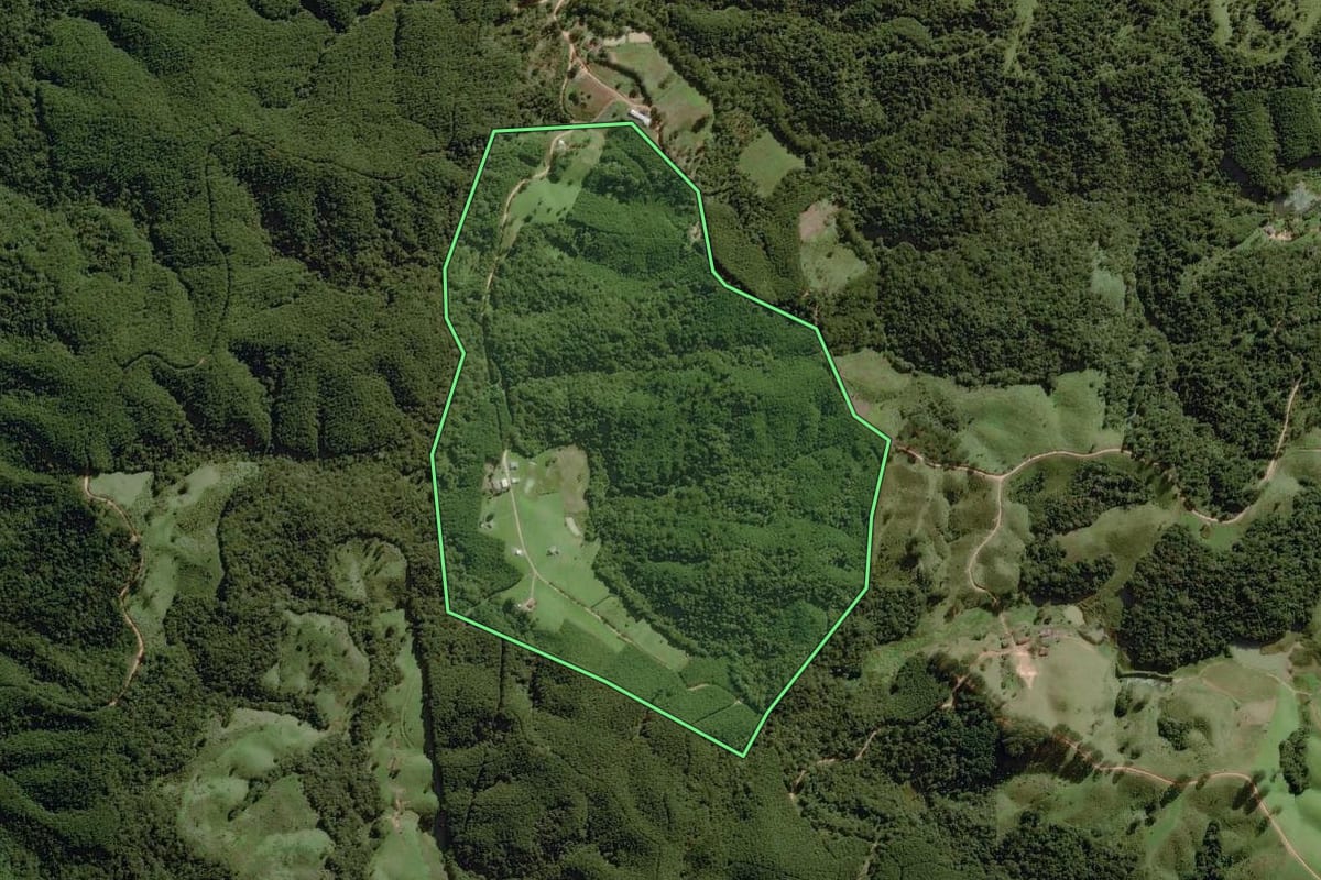 Imagem de satélite do imóvel rural em Itapirapuã Paulista (SP), com o contorno declarado no CAR desenhado por cima.