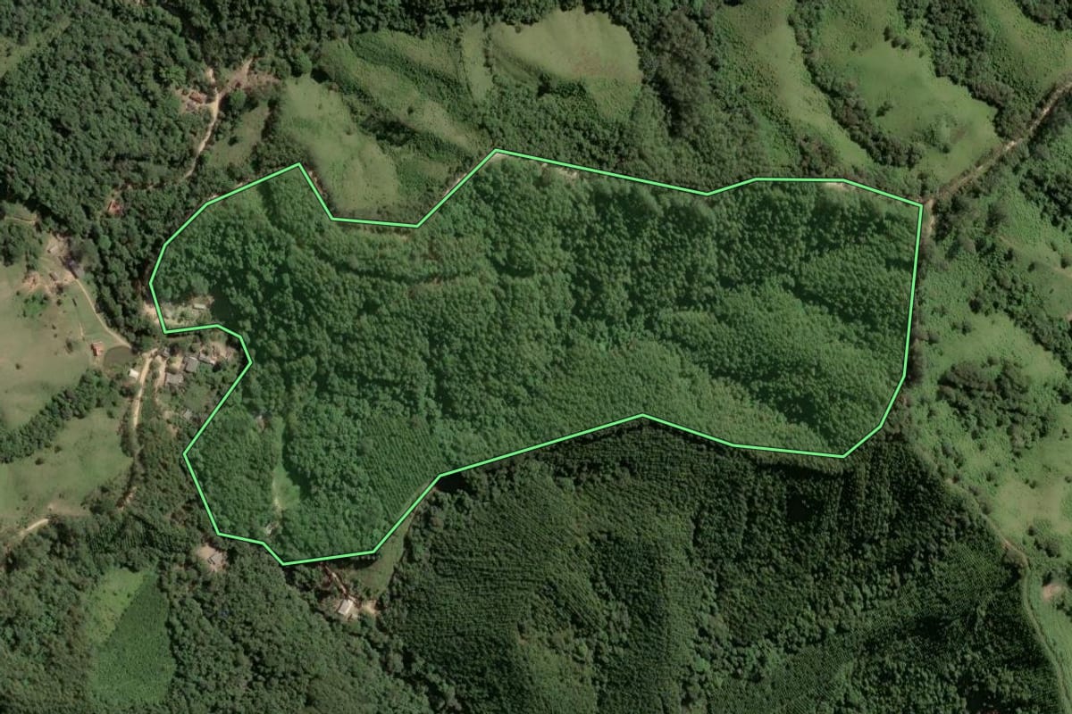 Imagem de satélite do imóvel rural em Itapirapuã Paulista (SP), com o contorno declarado no CAR desenhado por cima.