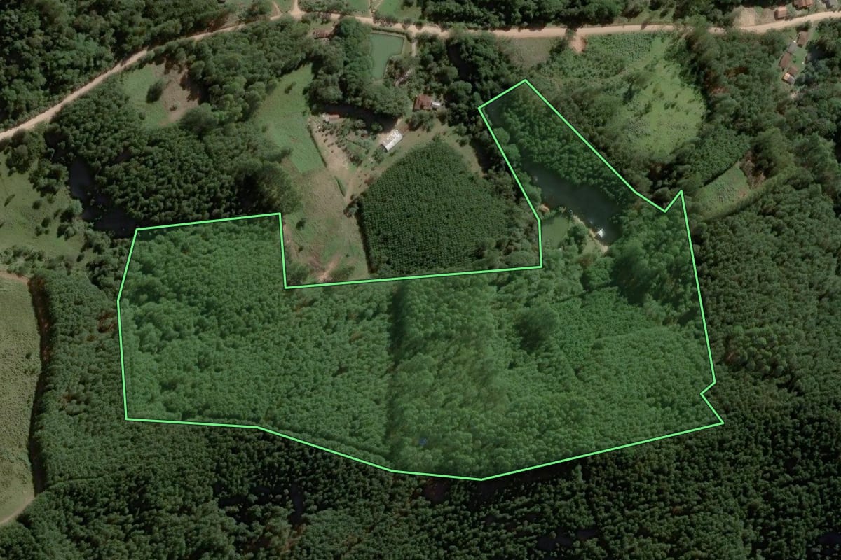 Imagem de satélite do imóvel rural em Itapirapuã Paulista (SP), com o contorno declarado no CAR desenhado por cima.