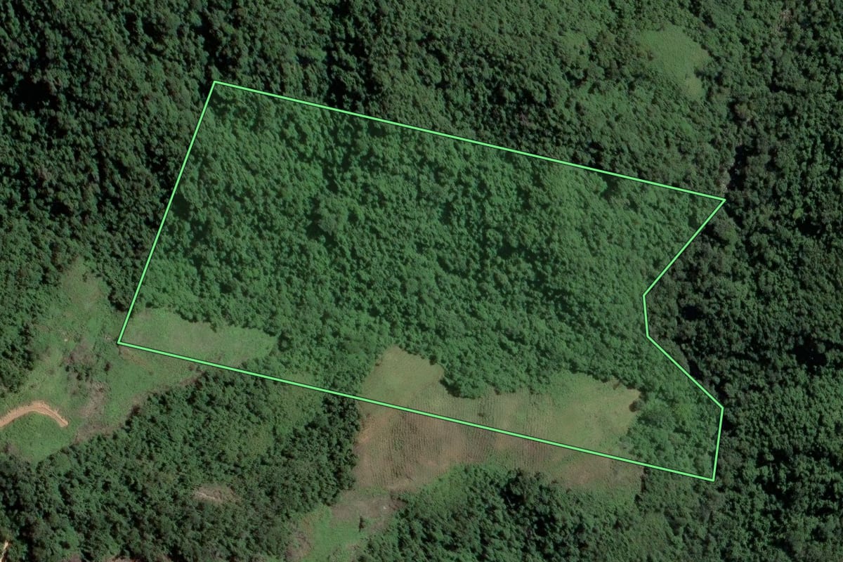 Imagem de satélite do imóvel rural em Itapirapuã Paulista (SP), com o contorno declarado no CAR desenhado por cima.