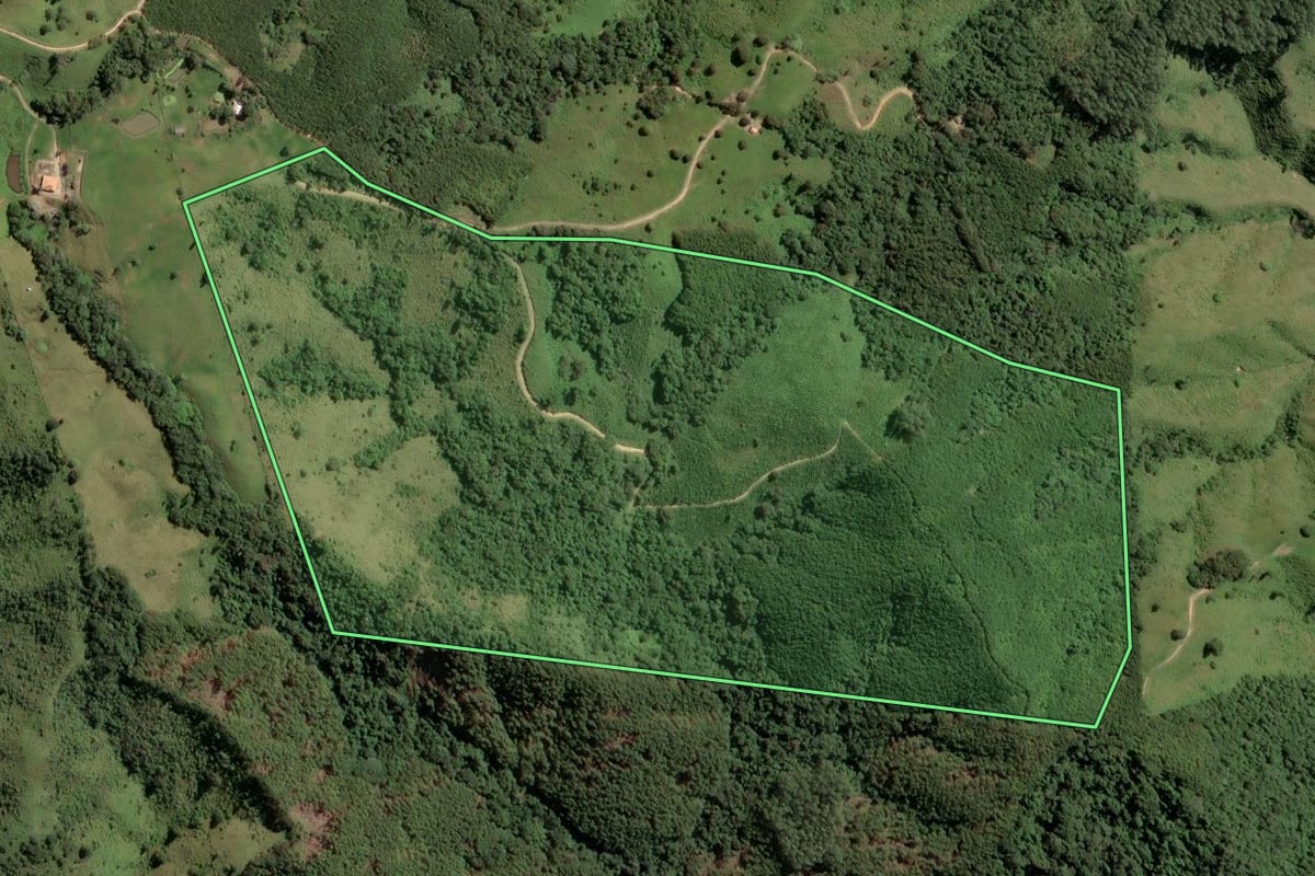 Imagem de satélite do imóvel rural em Itapirapuã Paulista (SP), com o contorno declarado no CAR desenhado por cima.