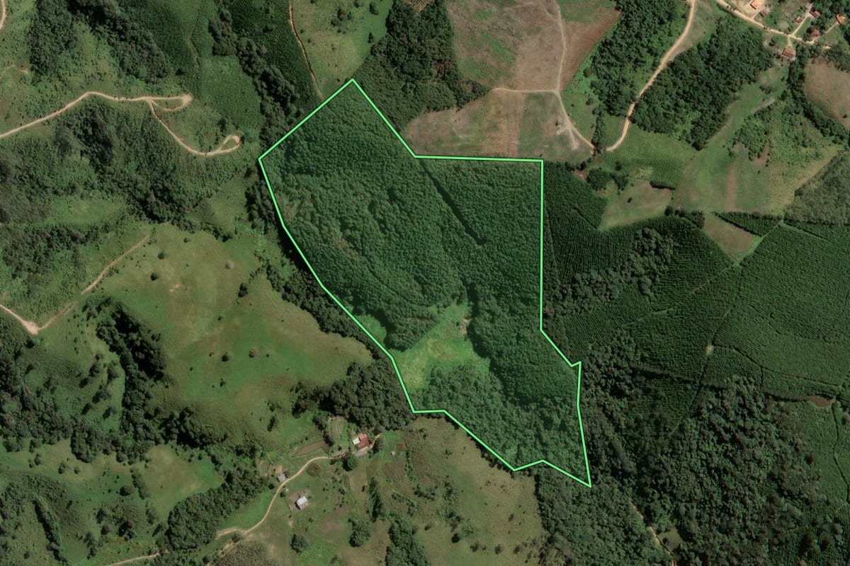 Imagem de satélite do imóvel rural em Itapirapuã Paulista (SP), com o contorno declarado no CAR desenhado por cima.