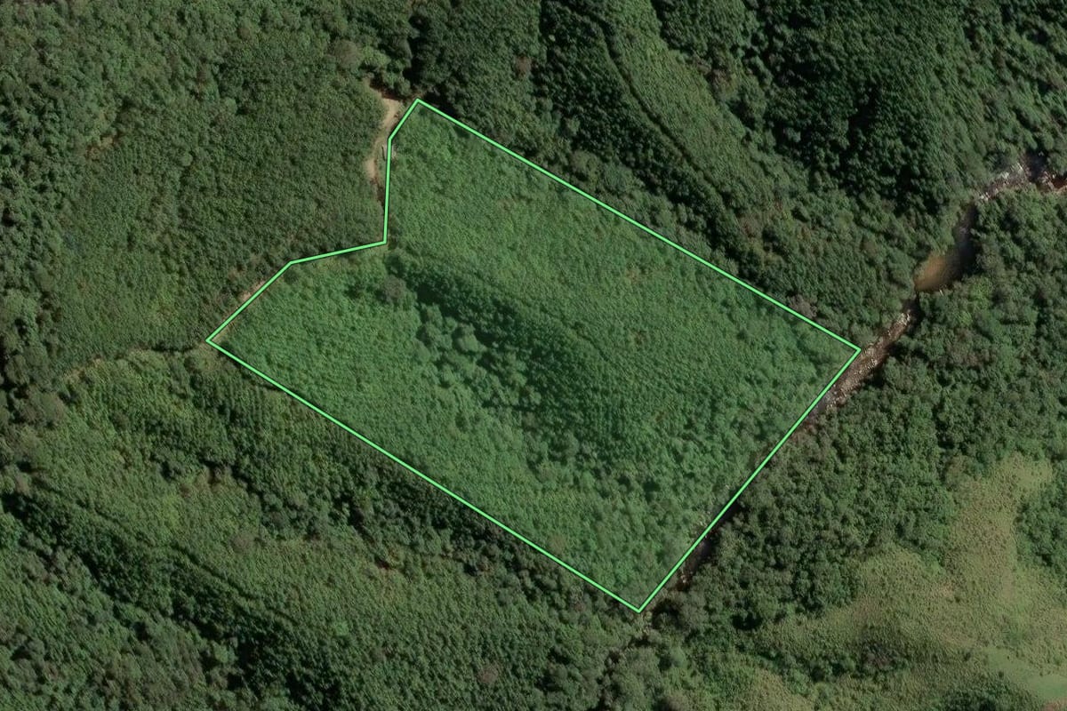 Imagem de satélite do imóvel rural em Itapirapuã Paulista (SP), com o contorno declarado no CAR desenhado por cima.