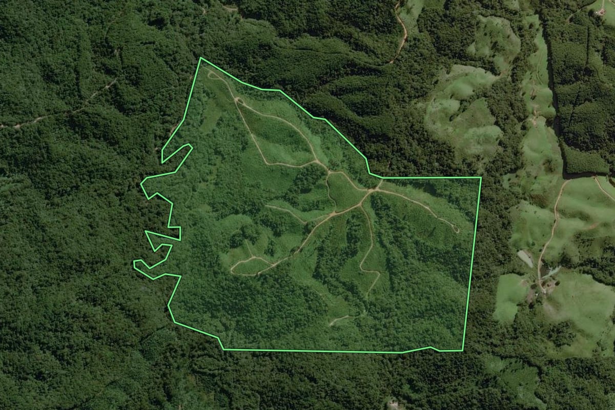 Imagem de satélite do imóvel rural em Itapirapuã Paulista (SP), com o contorno declarado no CAR desenhado por cima.
