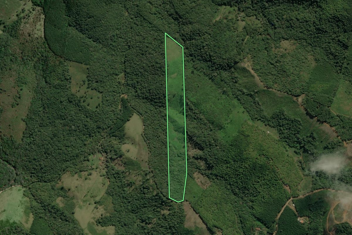 Imagem de satélite do imóvel rural em Itapirapuã Paulista (SP), com o contorno declarado no CAR desenhado por cima.