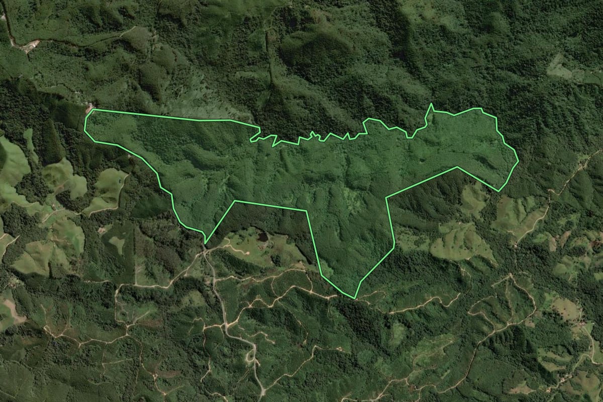 Imagem de satélite do imóvel rural em Itapirapuã Paulista (SP), com o contorno declarado no CAR desenhado por cima.
