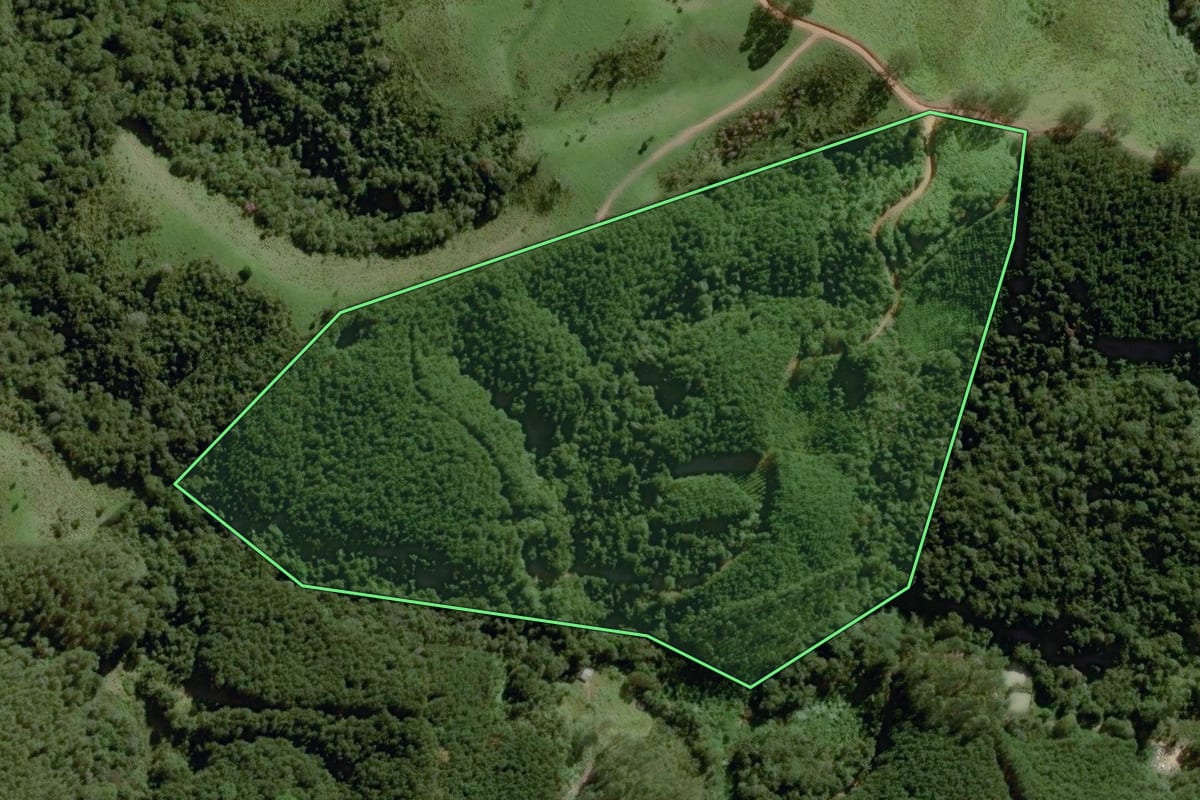 Imagem de satélite do imóvel rural em Itapirapuã Paulista (SP), com o contorno declarado no CAR desenhado por cima.