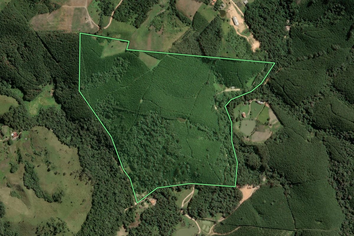 Imagem de satélite do imóvel rural em Itapirapuã Paulista (SP), com o contorno declarado no CAR desenhado por cima.