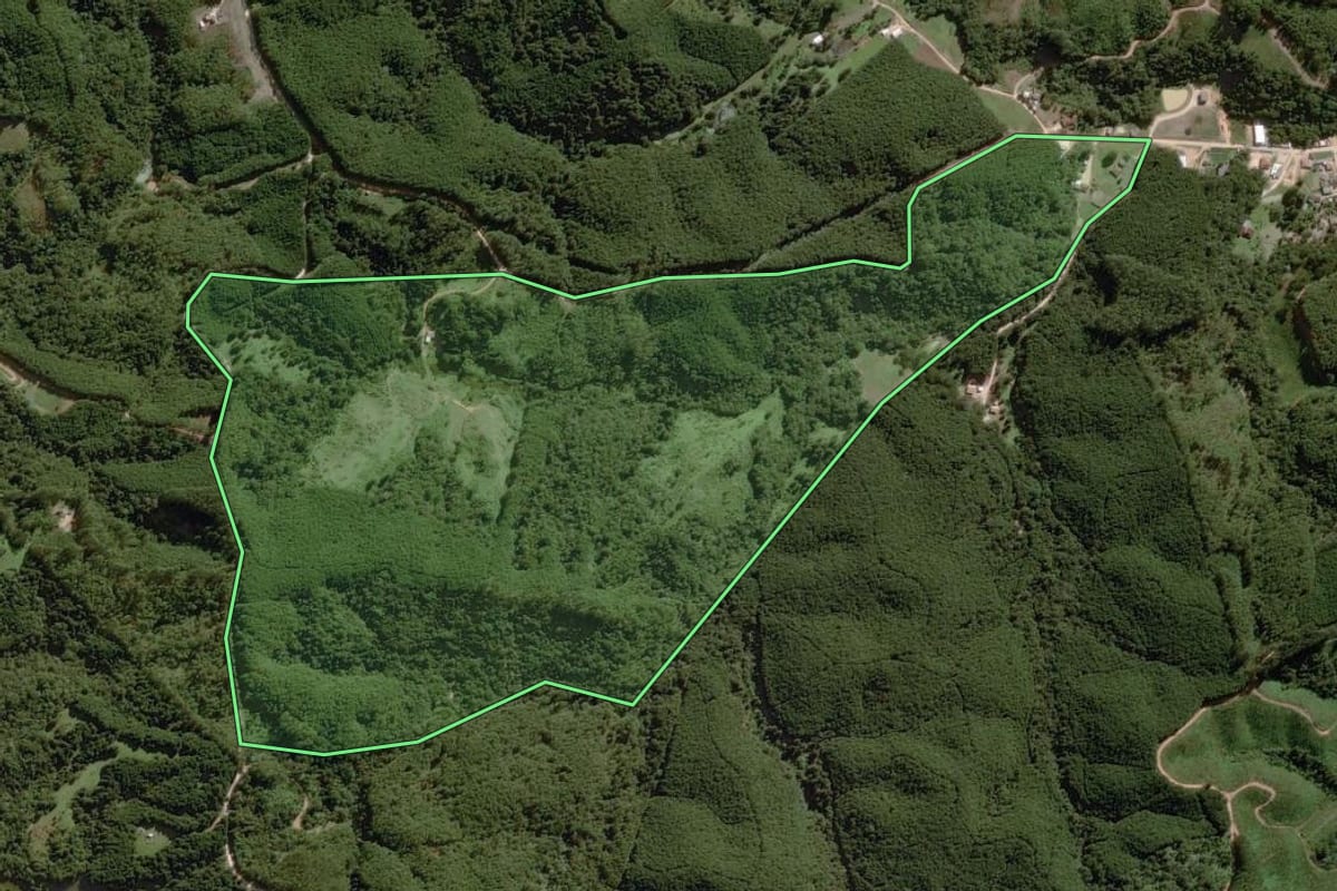 Imagem de satélite do imóvel rural em Itapirapuã Paulista (SP), com o contorno declarado no CAR desenhado por cima.