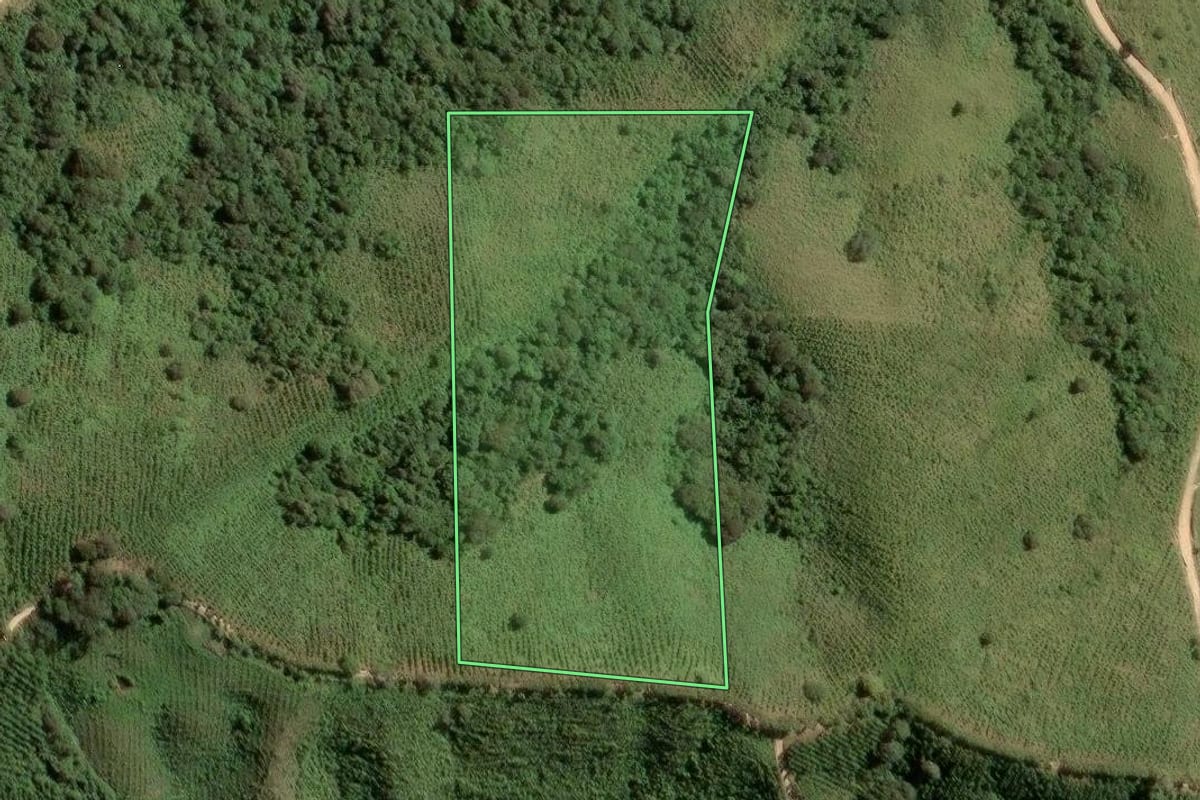 Imagem de satélite do imóvel rural em Itapirapuã Paulista (SP), com o contorno declarado no CAR desenhado por cima.