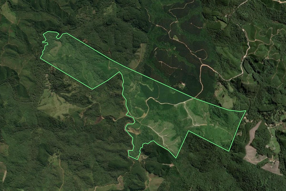 Imagem de satélite do imóvel rural em Itapirapuã Paulista (SP), com o contorno declarado no CAR desenhado por cima.