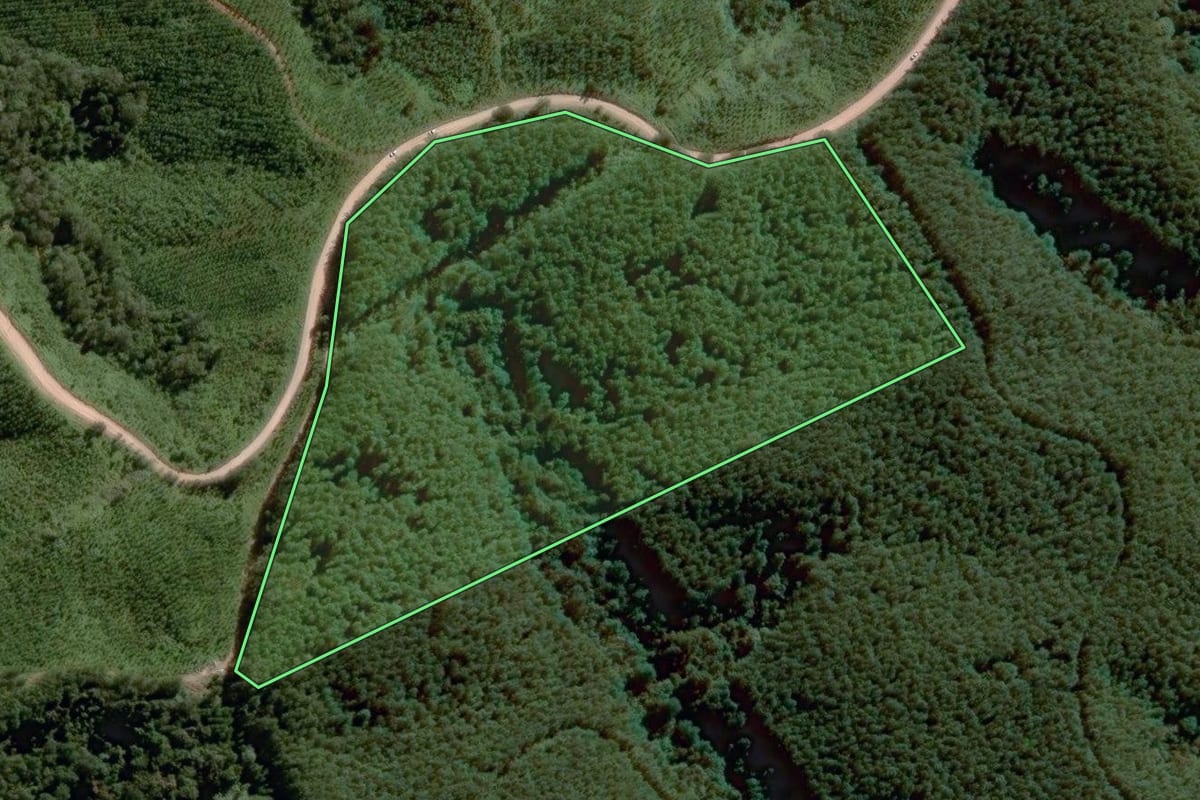Imagem de satélite do imóvel rural em Itapirapuã Paulista (SP), com o contorno declarado no CAR desenhado por cima.