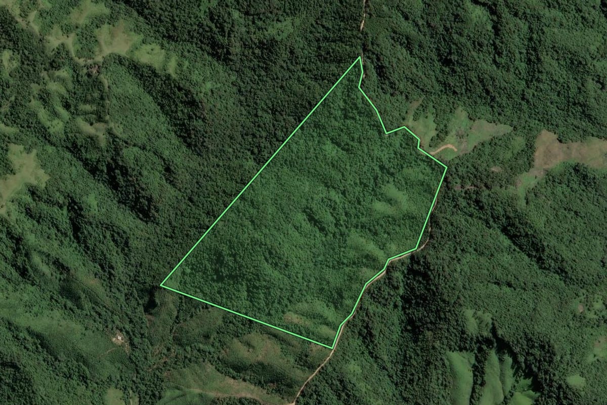Imagem de satélite do imóvel rural em Itapirapuã Paulista (SP), com o contorno declarado no CAR desenhado por cima.