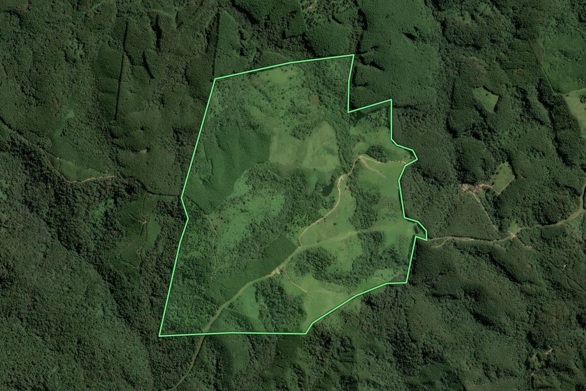 Imagem de satélite do imóvel rural em Itapirapuã Paulista (SP), com o contorno declarado no CAR desenhado por cima.