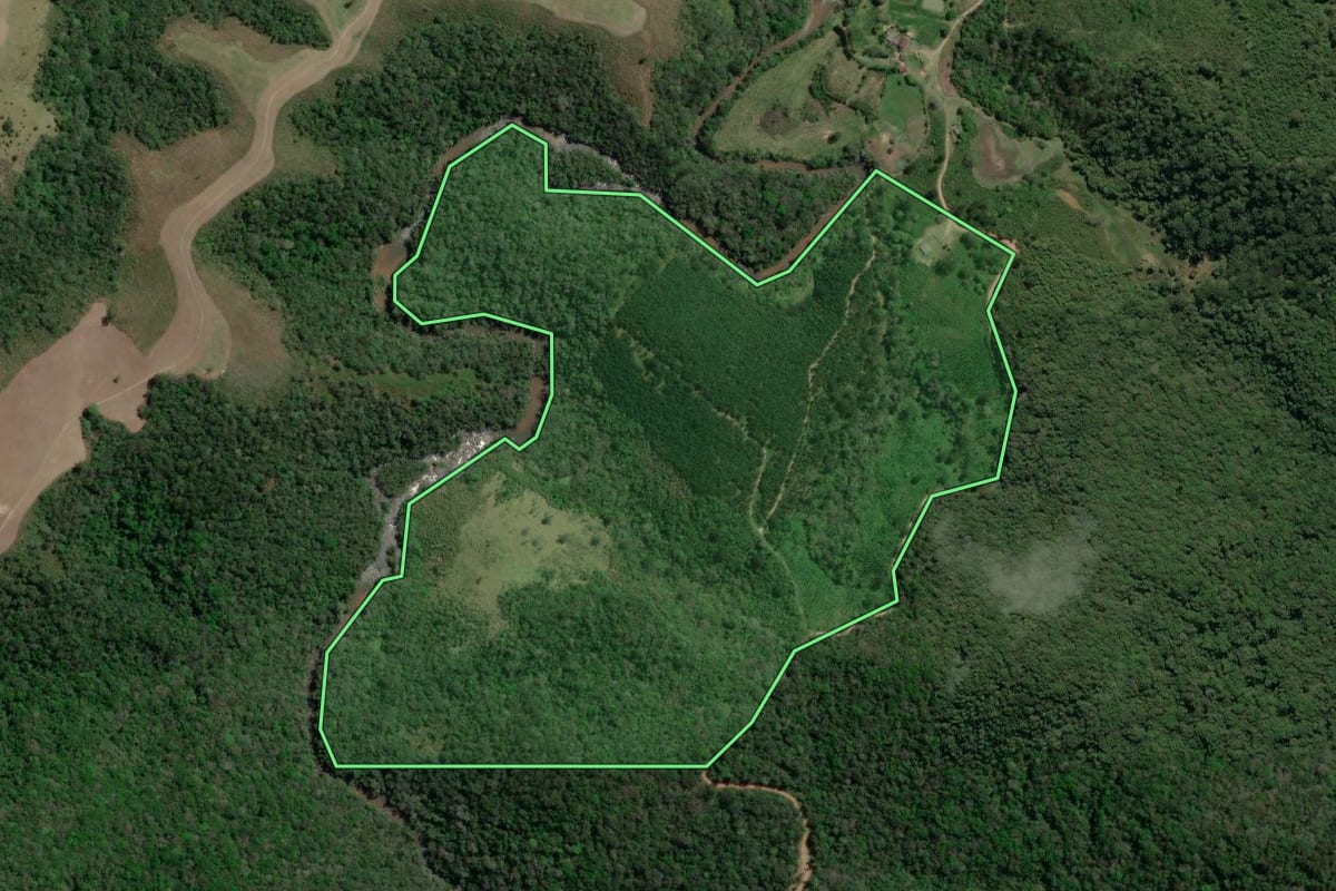 Imagem de satélite do imóvel rural em Itapirapuã Paulista (SP), com o contorno declarado no CAR desenhado por cima.