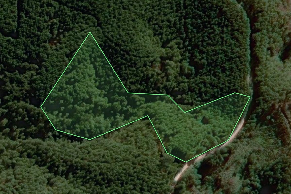 Imagem de satélite do imóvel rural em Itapirapuã Paulista (SP), com o contorno declarado no CAR desenhado por cima.