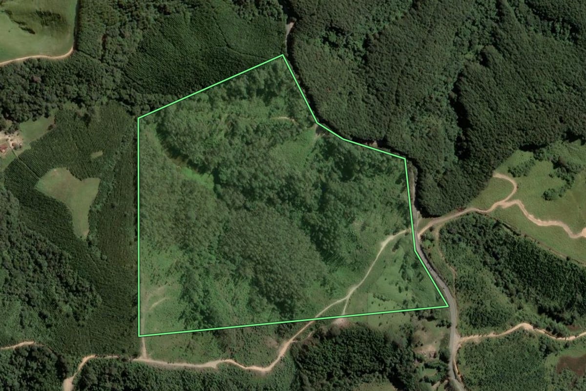 Imagem de satélite do imóvel rural em Itapirapuã Paulista (SP), com o contorno declarado no CAR desenhado por cima.