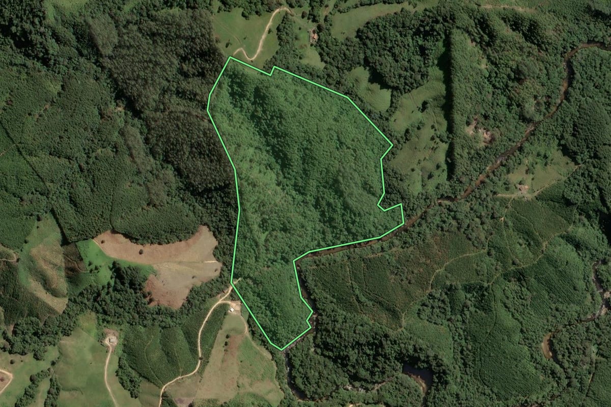 Imagem de satélite do imóvel rural em Itapirapuã Paulista (SP), com o contorno declarado no CAR desenhado por cima.
