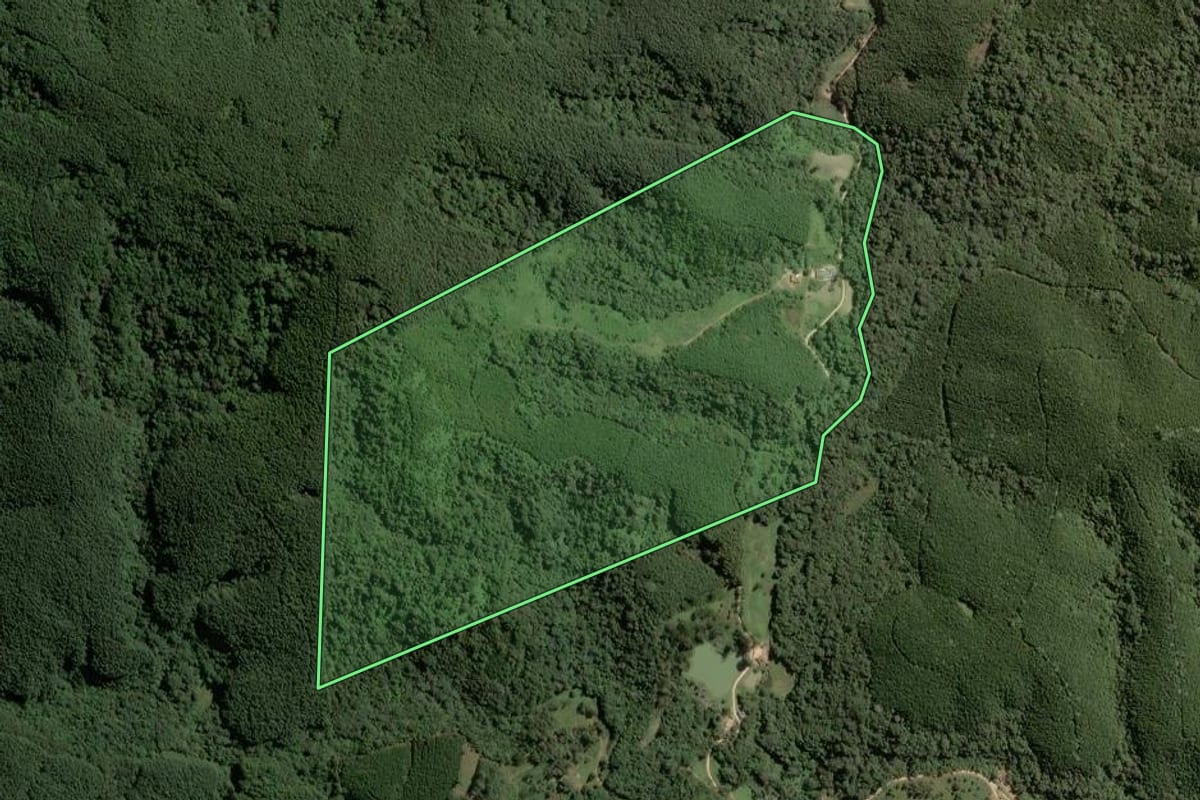 Imagem de satélite do imóvel rural em Itapirapuã Paulista (SP), com o contorno declarado no CAR desenhado por cima.