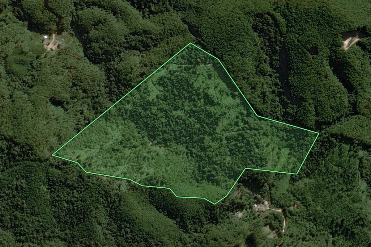 Imagem de satélite do imóvel rural em Itapirapuã Paulista (SP), com o contorno declarado no CAR desenhado por cima.