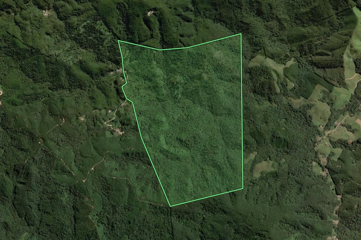 Imagem de satélite do imóvel rural em Itapirapuã Paulista (SP), com o contorno declarado no CAR desenhado por cima.
