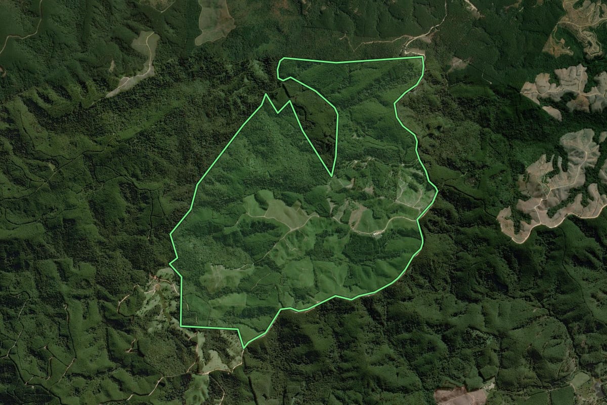 Imagem de satélite do imóvel rural em Itapirapuã Paulista (SP), com o contorno declarado no CAR desenhado por cima.