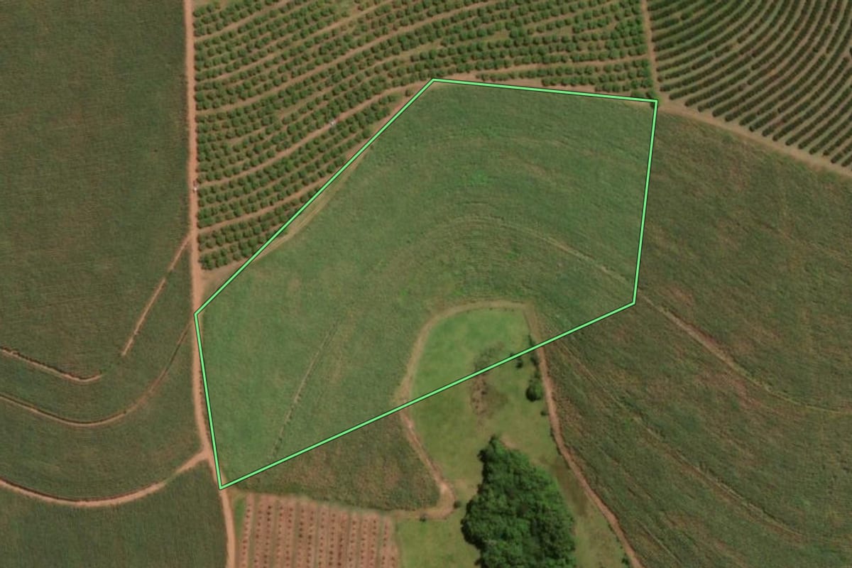 Imagem de satélite do imóvel rural em Itápolis (SP), com o contorno declarado no CAR desenhado por cima.