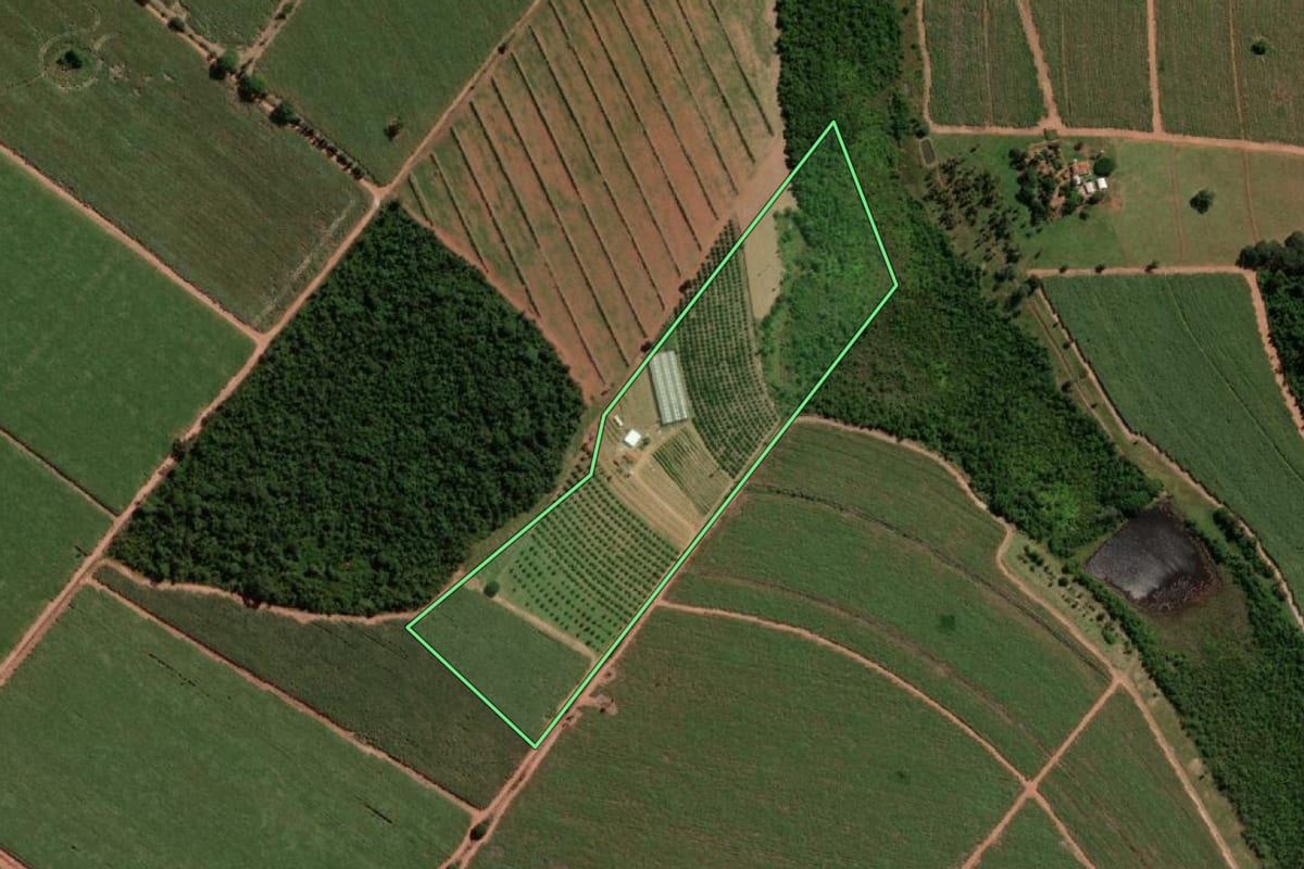 Imagem de satélite do imóvel rural em Itápolis (SP), com o contorno declarado no CAR desenhado por cima.