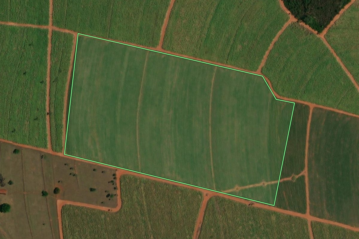 Imagem de satélite do imóvel rural em Itápolis (SP), com o contorno declarado no CAR desenhado por cima.