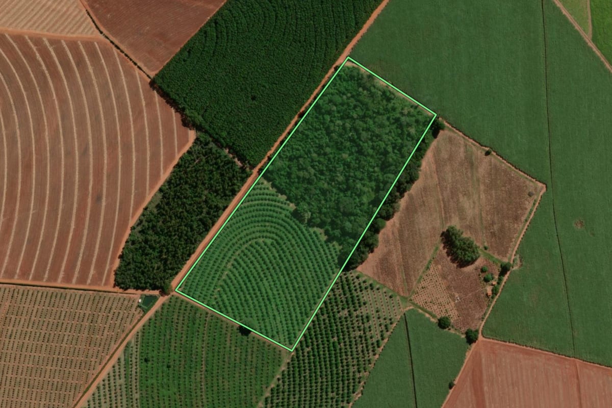 Imagem de satélite do imóvel rural em Itápolis (SP), com o contorno declarado no CAR desenhado por cima.