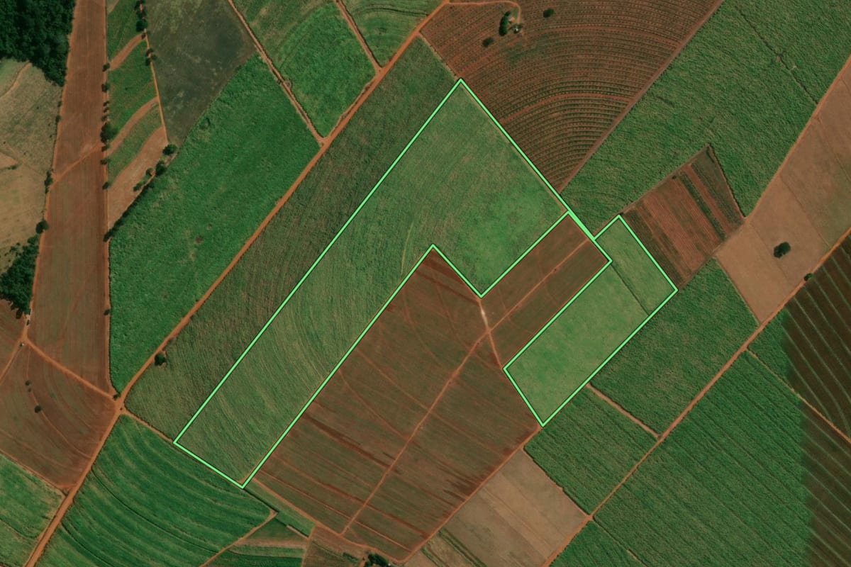 Imagem de satélite do imóvel rural em Itápolis (SP), com o contorno declarado no CAR desenhado por cima.