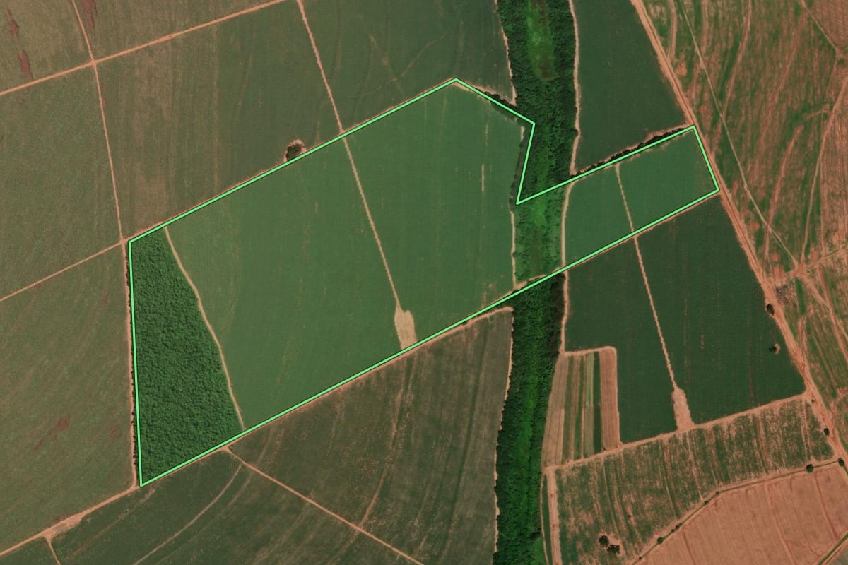 Imagem de satélite do imóvel rural em Itápolis (SP), com o contorno declarado no CAR desenhado por cima.