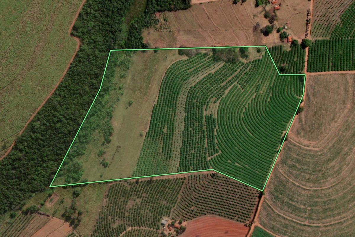 Imagem de satélite do imóvel rural em Itápolis (SP), com o contorno declarado no CAR desenhado por cima.