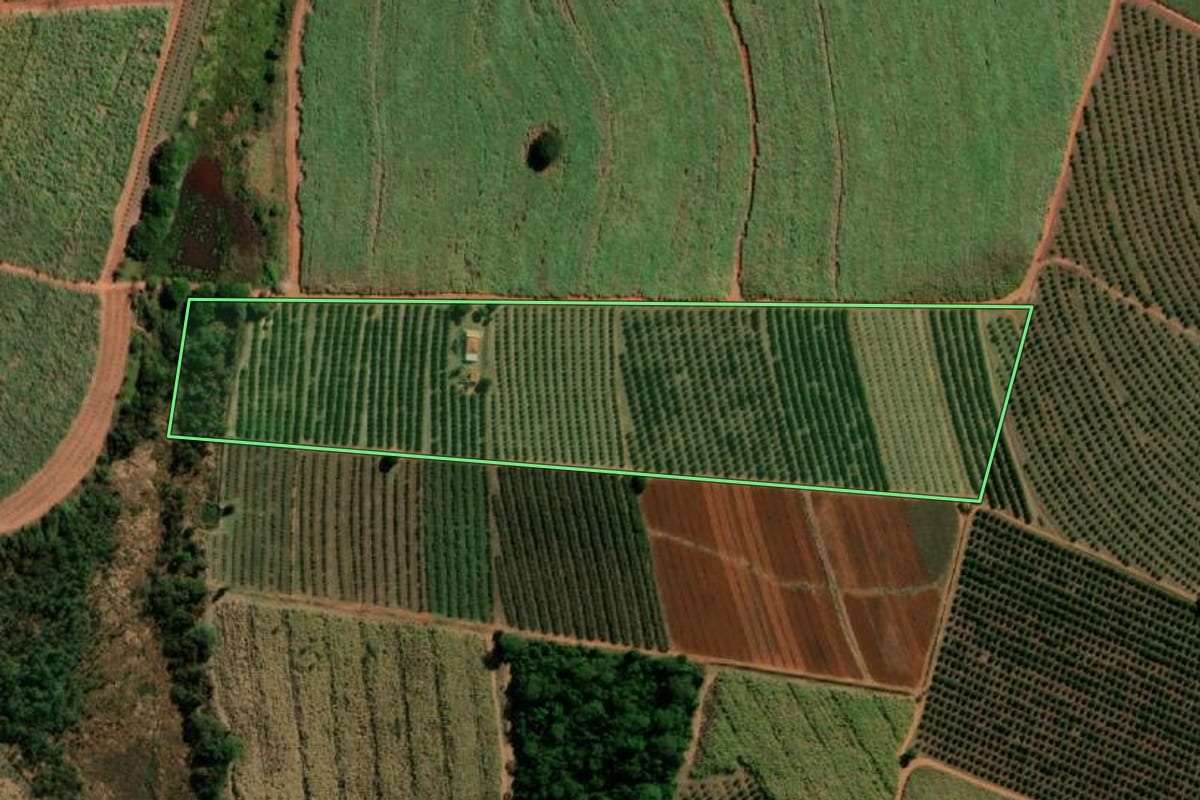 Imagem de satélite do imóvel rural em Itápolis (SP), com o contorno declarado no CAR desenhado por cima.