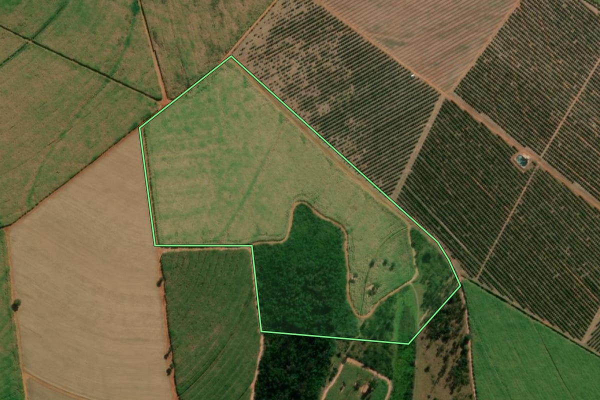 Imagem de satélite do imóvel rural em Itápolis (SP), com o contorno declarado no CAR desenhado por cima.