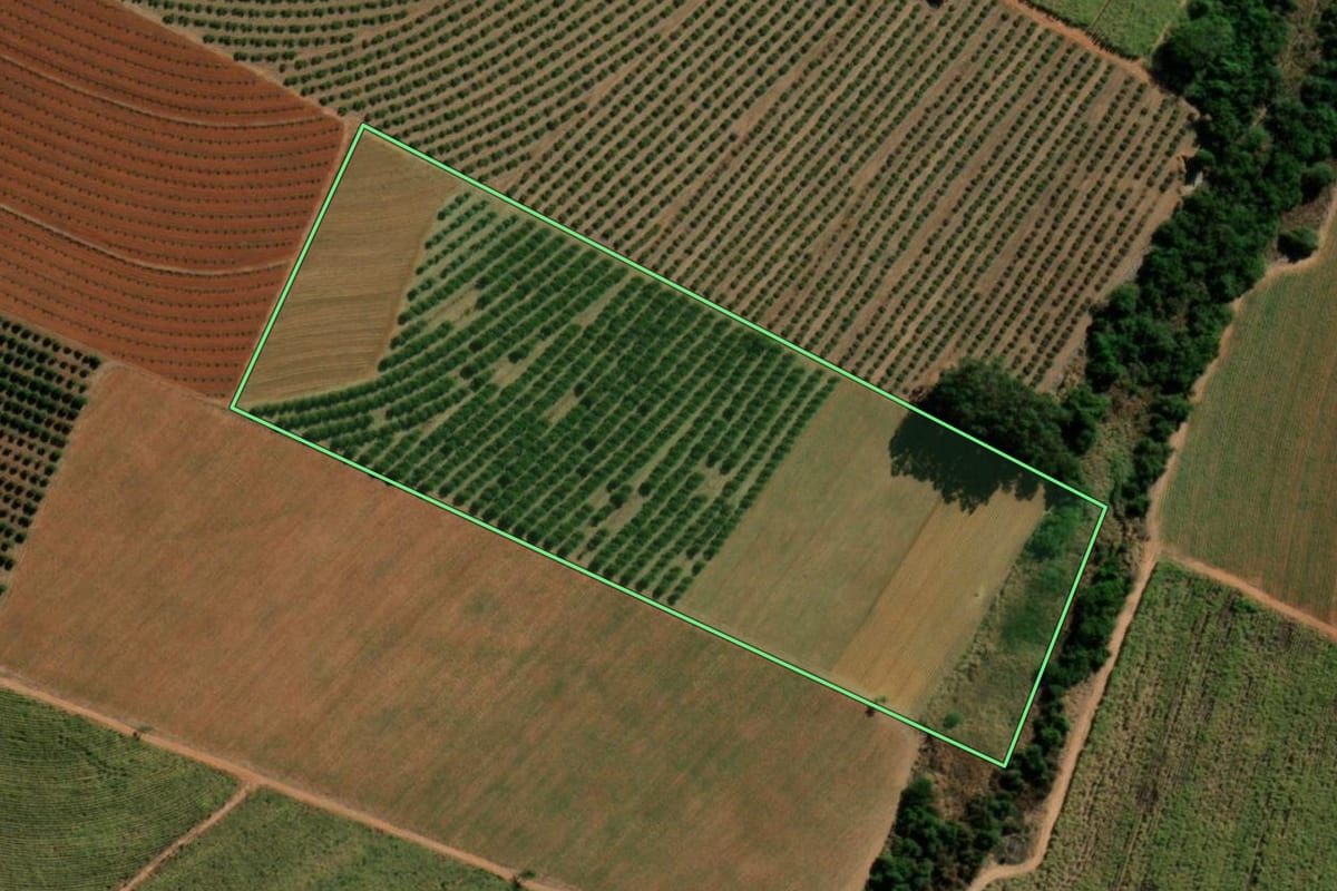 Imagem de satélite do imóvel rural em Itápolis (SP), com o contorno declarado no CAR desenhado por cima.