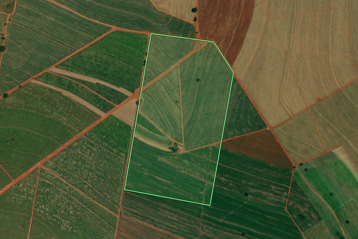 Imagem de satélite do imóvel rural em Itápolis (SP), com o contorno declarado no CAR desenhado por cima.